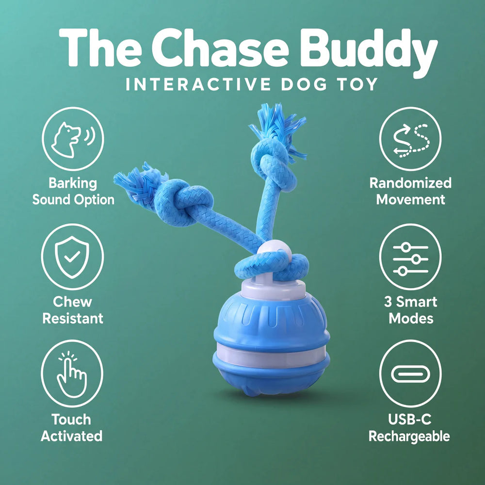 Zoomie™ Chase Buddy